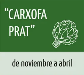 Carxofa 